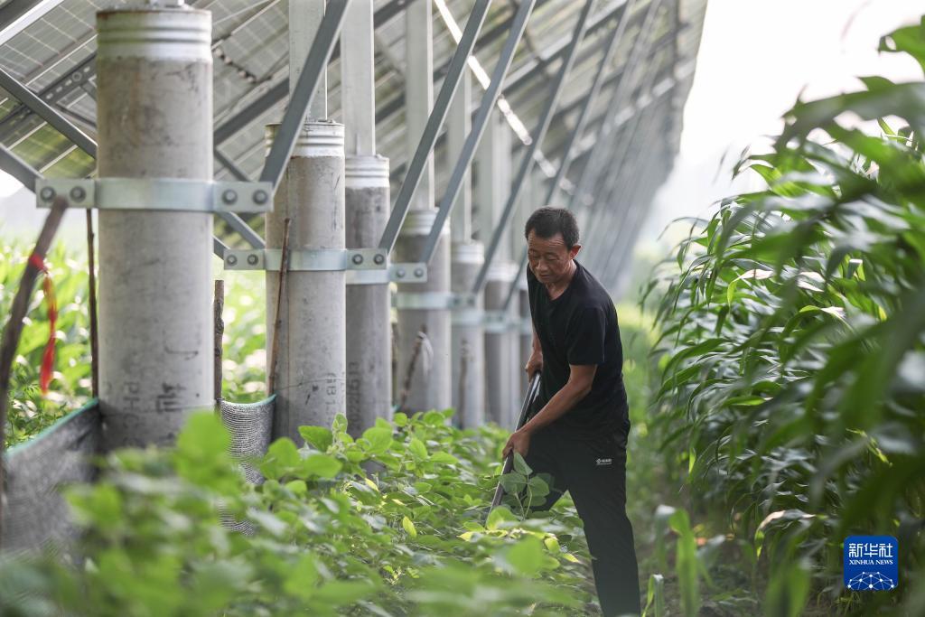 利记娱乐平台